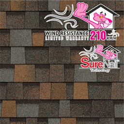 Owens Corning TRUDEFINITION™ DURATION® AR DESIGNER COLORS COLLECTION